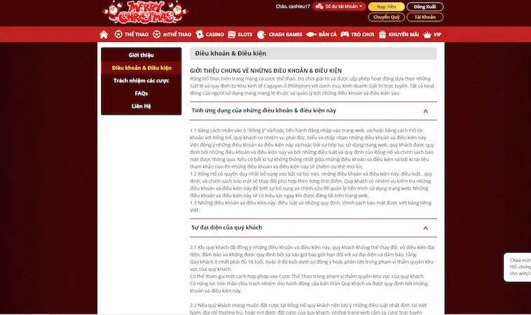 Các điều khoản sử dụng RONGHO99 là gì?