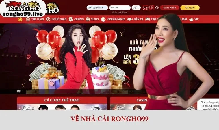 Về nhà cái RONGHO99