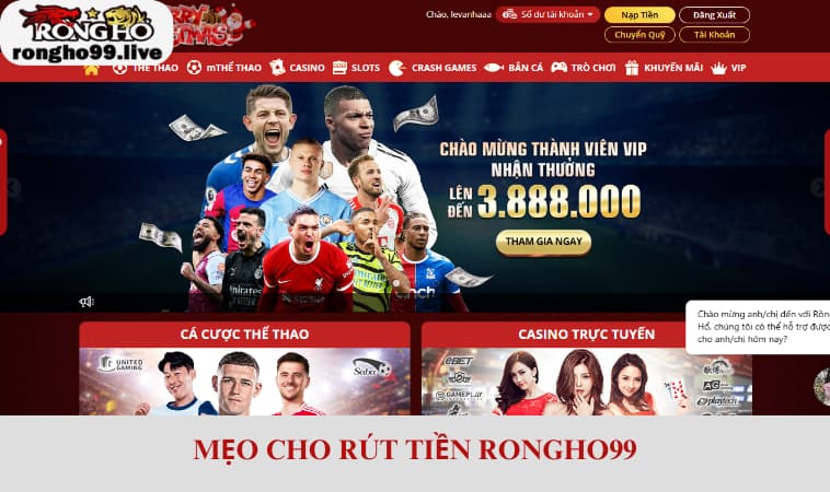 Mẹo cho rút tiền RONGHO99