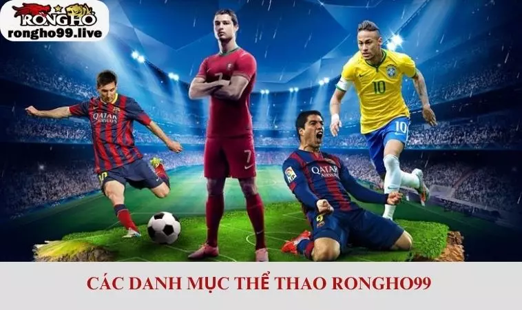 Khám phá các danh mục thể thao tại nền tảng chi tiết